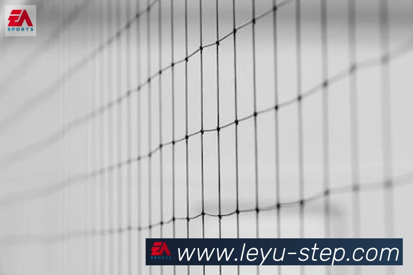 乐鱼leyuAPP 体育赛事宣传图
